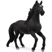 Preview Lusitano Stallion