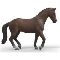 Preview KWPN Gelding - Image 1