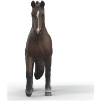 Preview KWPN Gelding - Image 2