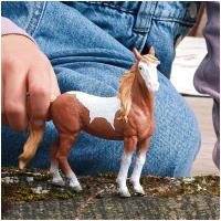 Preview Mustang Mare - Image 3