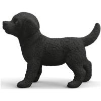 Preview Black Labrador Puppy - Image 1