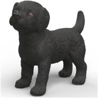 Preview Black Labrador Puppy