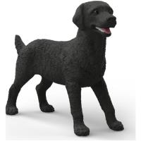Preview Black Labrador Retriever, Female