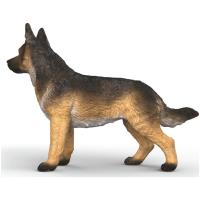 Preview German Shepherd, Female - Image 1
