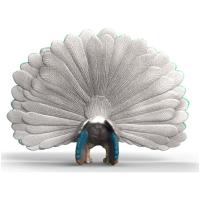 Preview Peacock - Image 2
