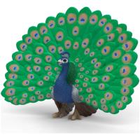 Preview Peacock