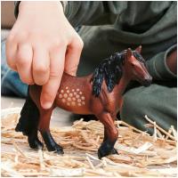 Preview North Swedish Cold Blooded Mare - Image 3