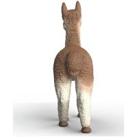 Preview Alpaca - Image 2