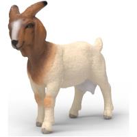 Preview Boer Goat
