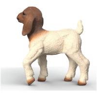 Preview Boer Goat Kid - Image 2