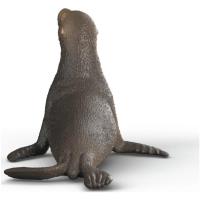 Preview Sea Lion - Image 2