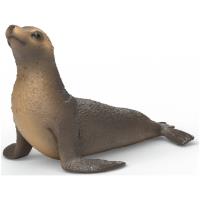 Preview Sea Lion