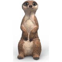 Preview Meerkat