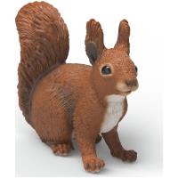 Preview Red Squirrel