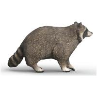 Preview Racoon - Image 1