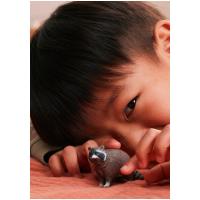 Preview Racoon - Image 3