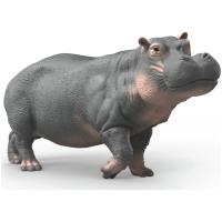 Preview Hippopotamus