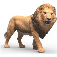 Preview African Lion