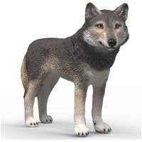 Preview American Wolf