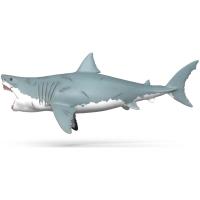 Preview Megalodon - Image 3