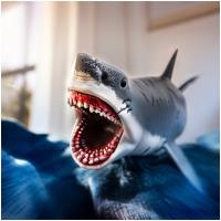 Preview Megalodon - Image 4