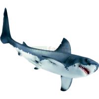 Preview White Shark