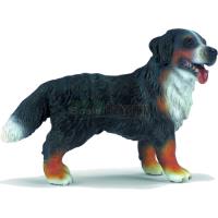 Preview Bernese M. Dog standing