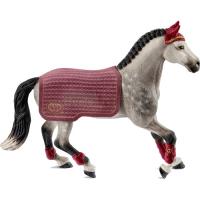 Preview Trakehner Mare with Blanket