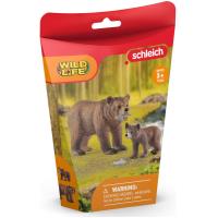 Preview Grizzly Bear Mother with Cub - Image 2