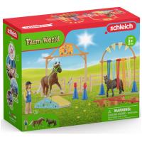 Preview Pony Agility Training Set - Image 1