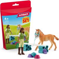 Preview Training Set for Foal - Image 1